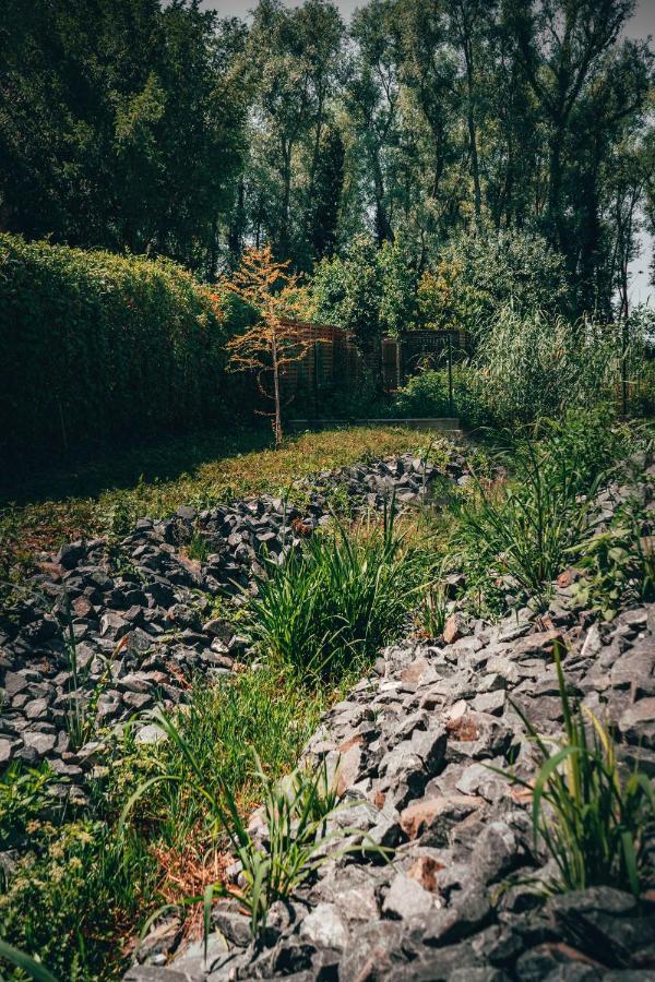 Fuzliget Surf Garden Apartment Balatonfůzfő Екстериор снимка